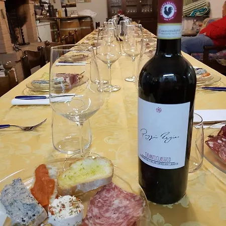 公寓 Az.agr.poggio Regini 卡斯特利纳－因基安蒂
