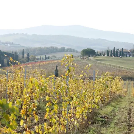 Az.agr.poggio Regini