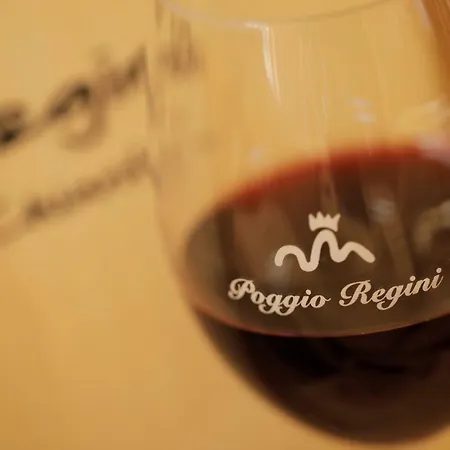 公寓 Az.agr.poggio Regini *